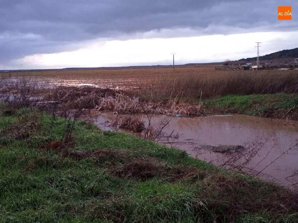 Foto 3 - Varias viviendas de Babilafuente se ven afectadas por inundaciones en los aleda&ntilde;os  