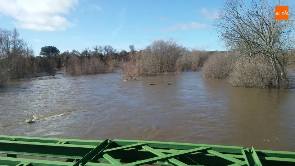 Foto 4 - Impresionante crecida del r&iacute;o Tormes a su paso por Almenara&nbsp;