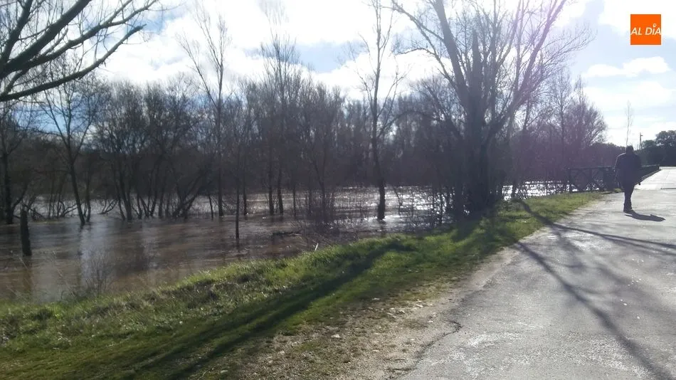 Foto 2 - Impresionante crecida del r&iacute;o Tormes a su paso por Almenara&nbsp;