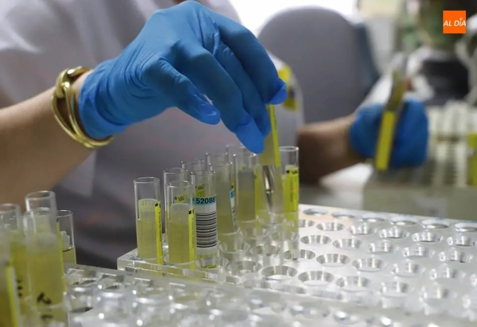 Este jueves se celebra el Día Internacional de la Mujer y la Niña en la Ciencia