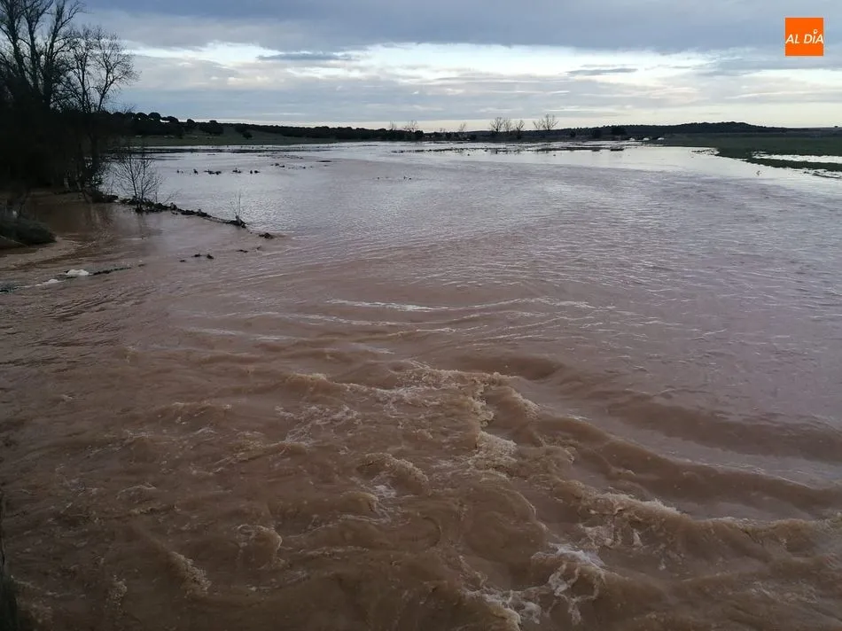 Foto 6 - La lluvia desborda las riberas y anega los campos en la provincia salmantina&nbsp;
