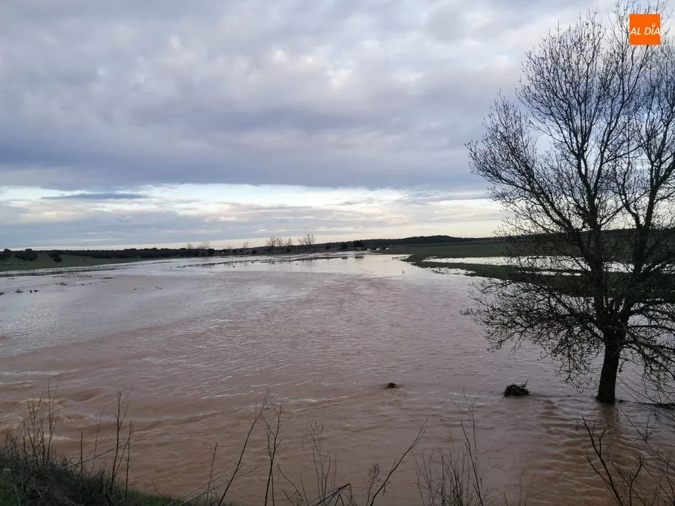 Foto 4 - La lluvia desborda las riberas y anega los campos en la provincia salmantina&nbsp;