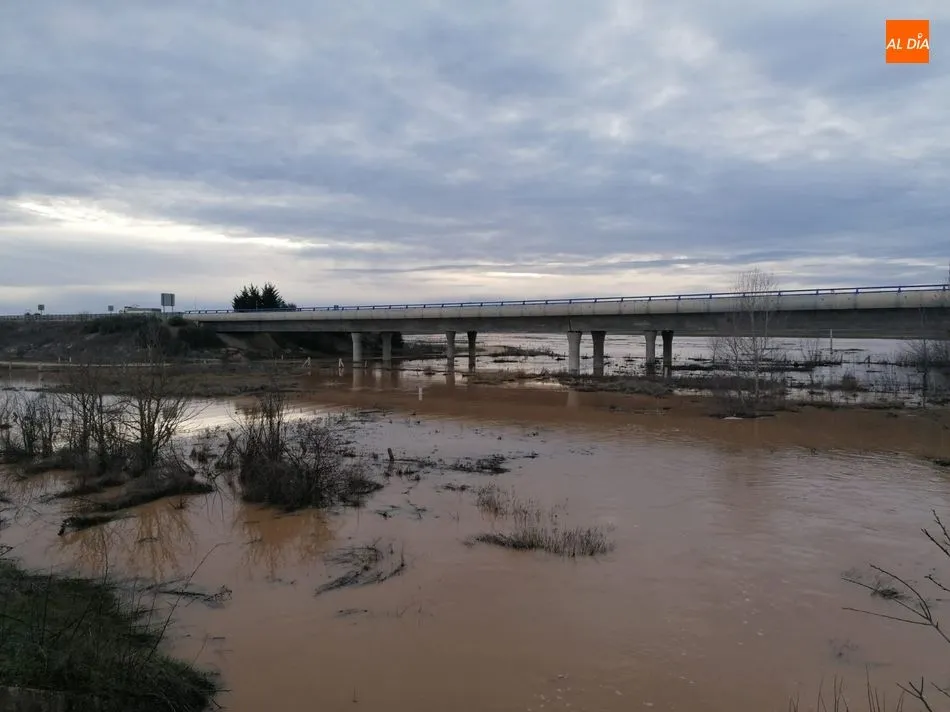 Foto 3 - La lluvia desborda las riberas y anega los campos en la provincia salmantina&nbsp;