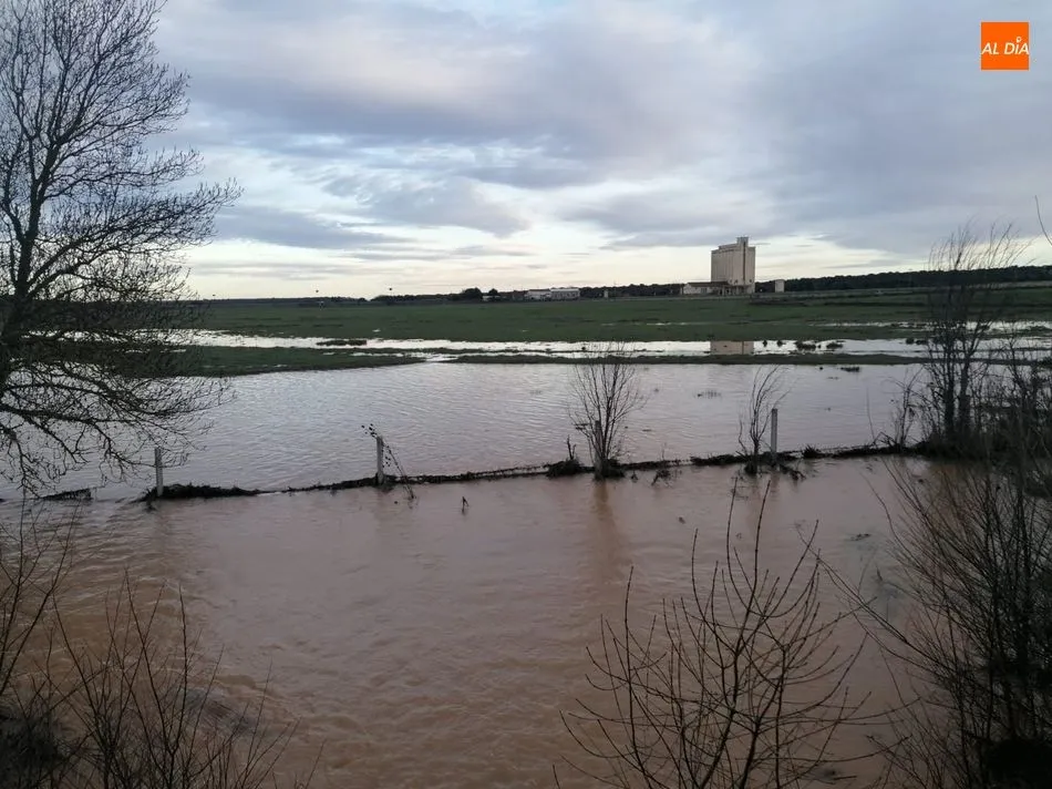 Foto 2 - La lluvia desborda las riberas y anega los campos en la provincia salmantina&nbsp;