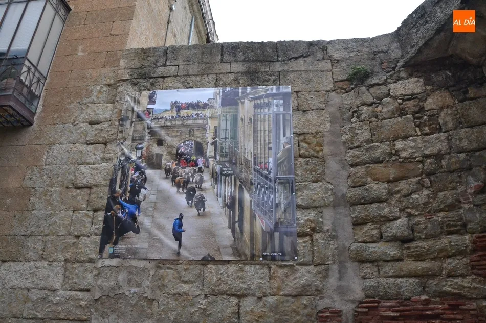 Foto 9 - Desplegada una simb&oacute;lica exposici&oacute;n callejera para tener presente el sentimiento carnavalero  