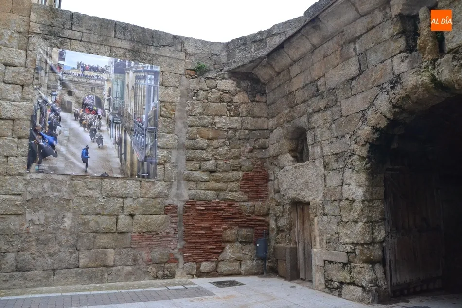 Foto 7 - Desplegada una simb&oacute;lica exposici&oacute;n callejera para tener presente el sentimiento carnavalero  