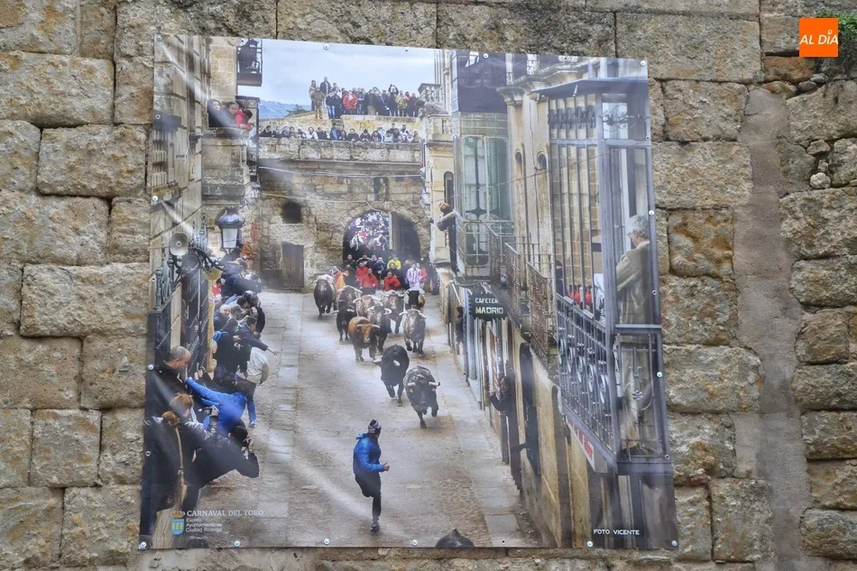 Foto 8 - Desplegada una simb&oacute;lica exposici&oacute;n callejera para tener presente el sentimiento carnavalero  
