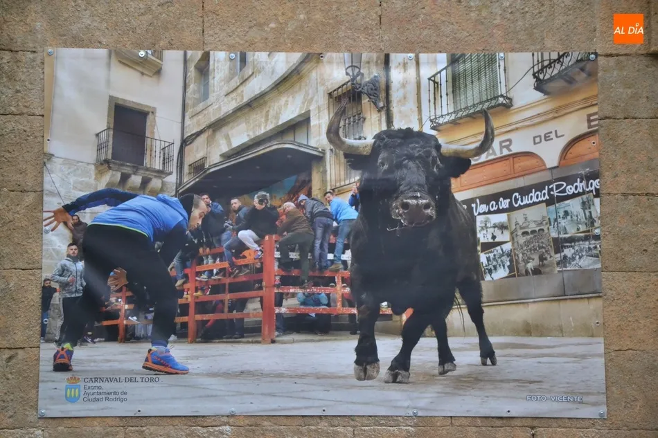 Foto 4 - Desplegada una simb&oacute;lica exposici&oacute;n callejera para tener presente el sentimiento carnavalero  