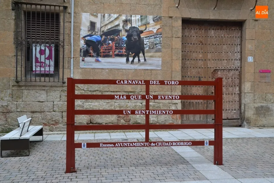 Foto 3 - Desplegada una simb&oacute;lica exposici&oacute;n callejera para tener presente el sentimiento carnavalero  