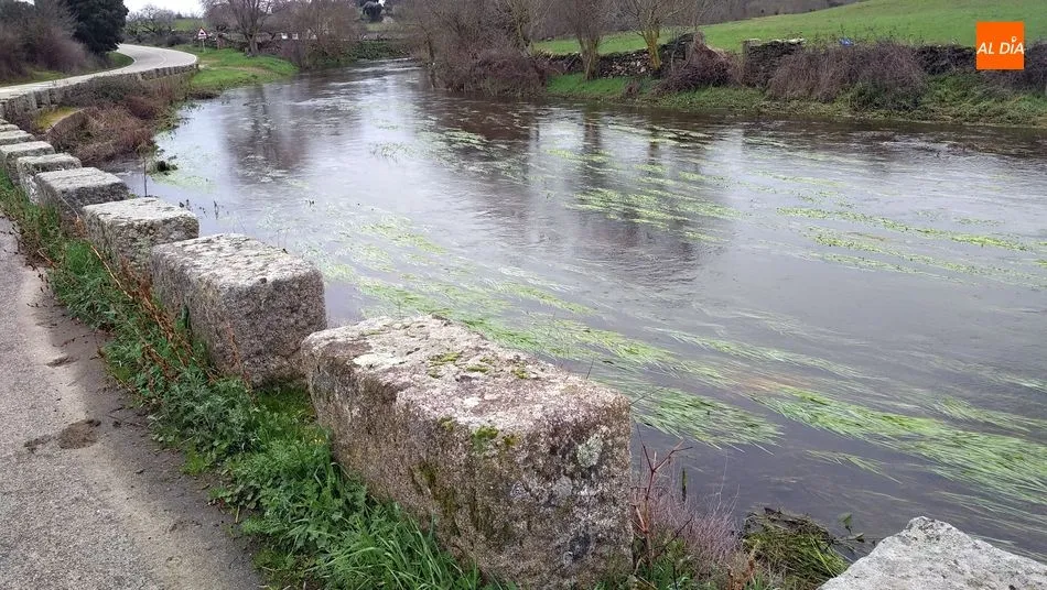 Foto 5 - Hinojosa de Duero, los caminos del agua