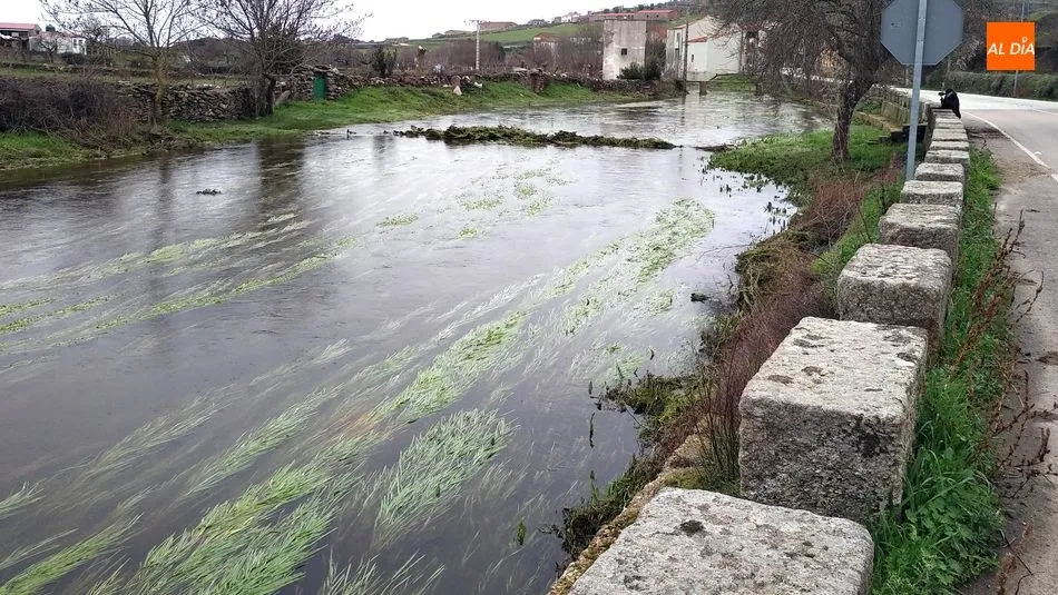 Foto 4 - Hinojosa de Duero, los caminos del agua