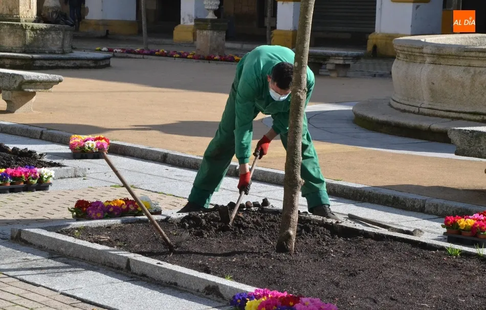 Foto 8 - La Plazuela del Buen Alcalde se llena de flores donadas por Asprodes para dar &ldquo;un poco de...