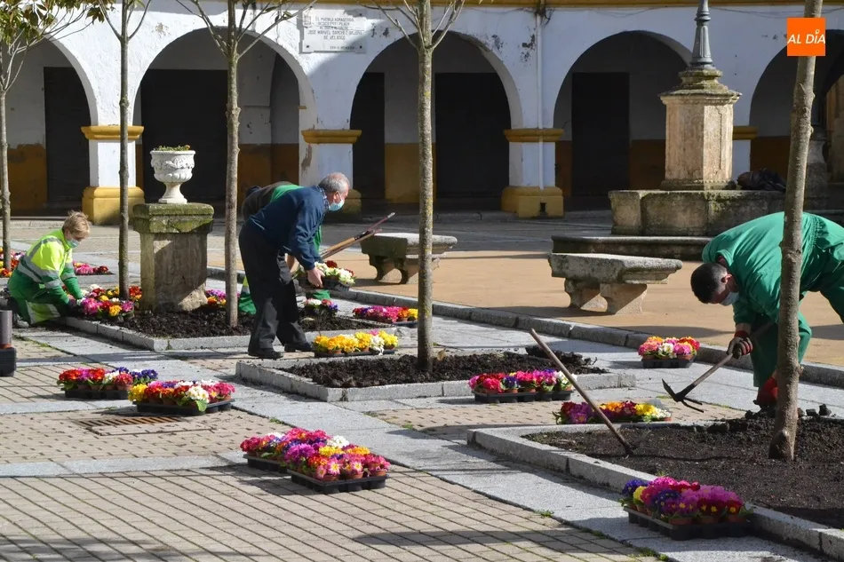 Foto 10 - La Plazuela del Buen Alcalde se llena de flores donadas por Asprodes para dar &ldquo;un poco de...