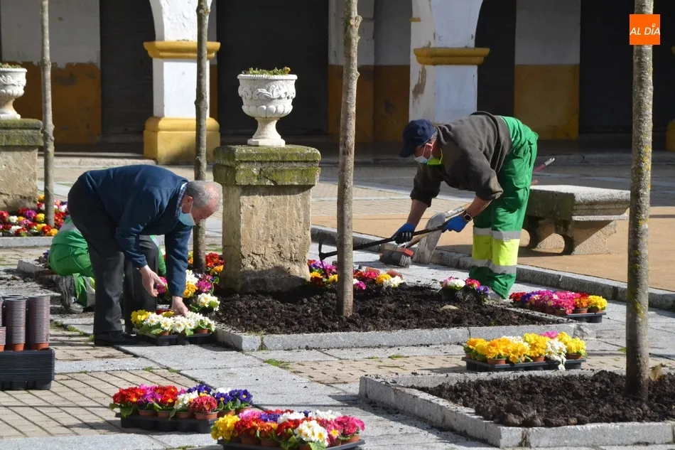 Foto 9 - La Plazuela del Buen Alcalde se llena de flores donadas por Asprodes para dar &ldquo;un poco de...