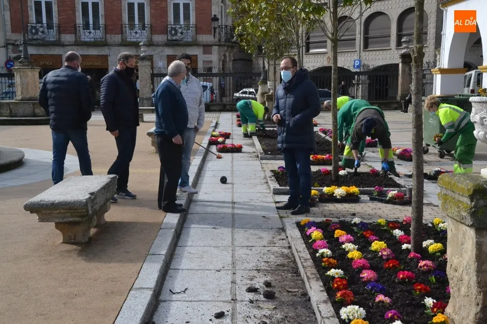 Foto 4 - La Plazuela del Buen Alcalde se llena de flores donadas por Asprodes para dar &ldquo;un poco de...