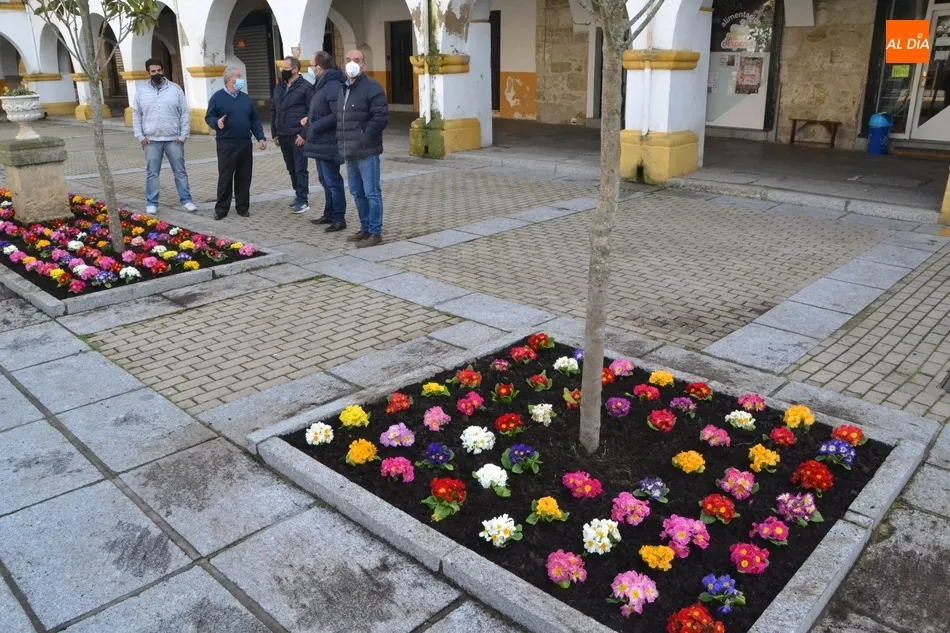 Foto 5 - La Plazuela del Buen Alcalde se llena de flores donadas por Asprodes para dar &ldquo;un poco de...