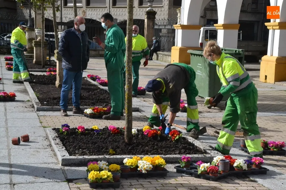 Foto 2 - La Plazuela del Buen Alcalde se llena de flores donadas por Asprodes para dar &ldquo;un poco de...