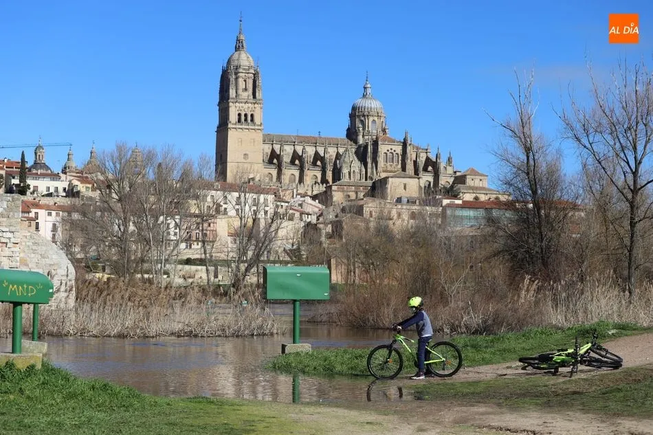 Foto 9 - El buen tiempo atrae a numerosos vecinos a las terrazas de Salamanca