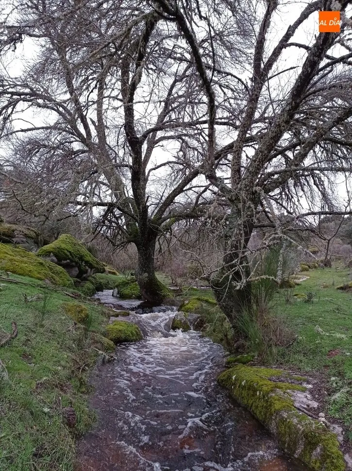 Trabanca, los caminos del agua  