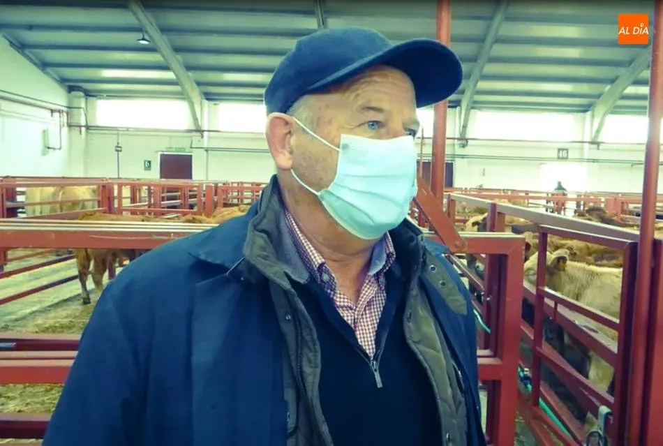 Ándres Pérez Casado, ganadero y tratante. | Jorge Holguera