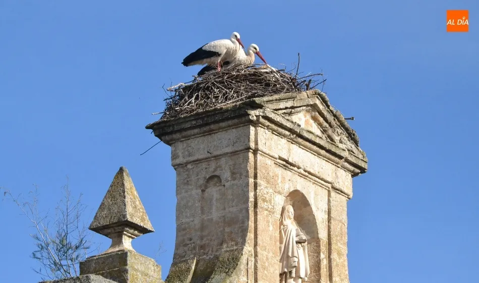 Iglesia, despoblación y supervivencia  