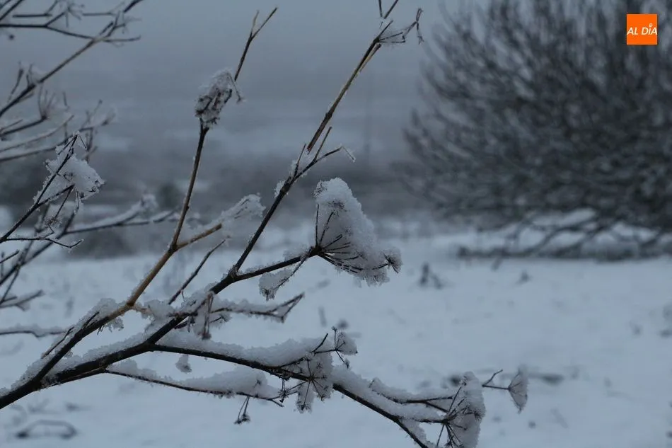 Comenzó como lluvia y acabó en nevada de pleno derecho en Guijuelo - KR