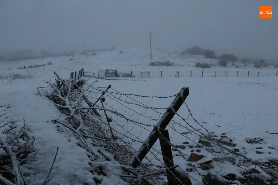 Foto 11 - Sorprendente nevada en el sur de la provincia