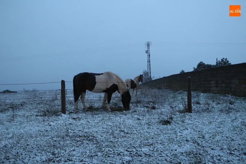 Foto 3 - Sorprendente nevada en el sur de la provincia