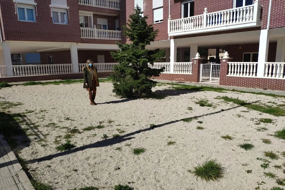 Parterre en el que se acometerá la obra de mejora