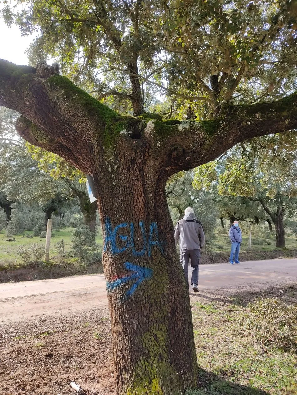 Foto 2 - Terradillos anima a los vecinos a sumarse al Geocaching&nbsp;