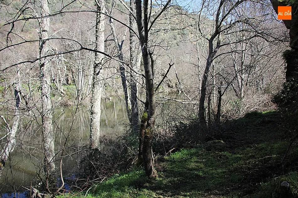 Foto 6 - El Ayuntamiento de Villarino habilita la ruta del Desgalgadero y a&ntilde;ade el ca&ntilde;&oacute;n del Encuentro y...