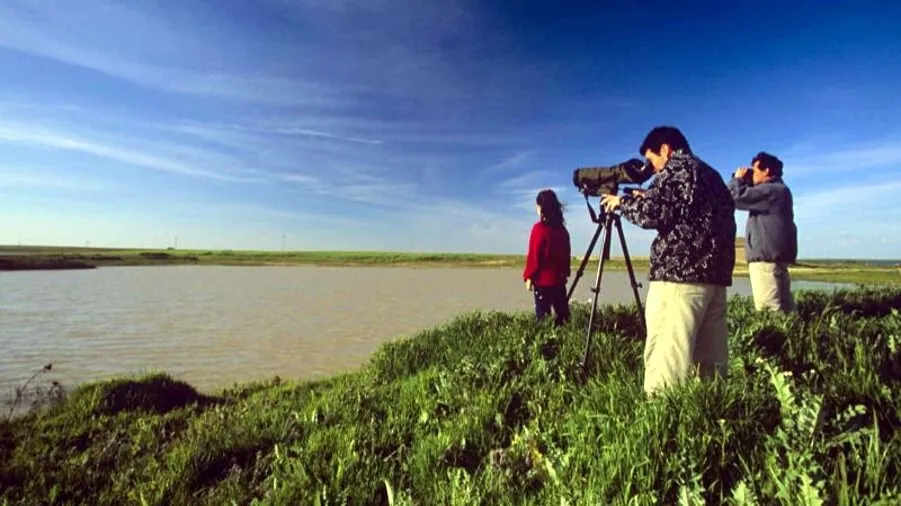El turismo ornitológico atrae a visitantes españoles y extranjeros