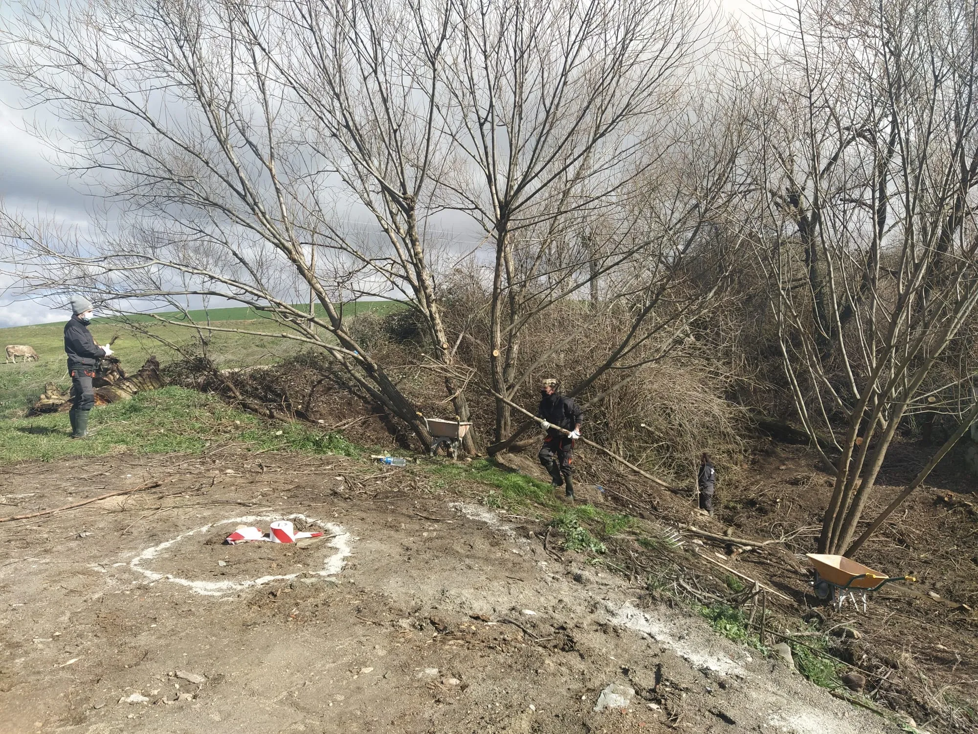 Trabajo realizado por los integrantes del programa AFE Amatos Natura