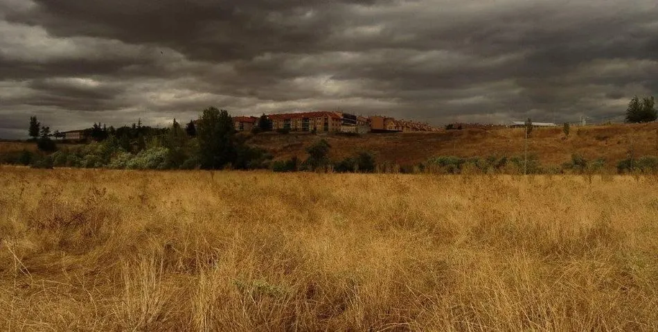Contra esa basura que nos rodea