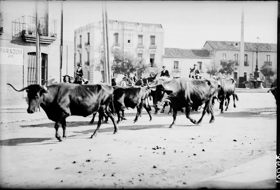 Foto 2 - El antiguo mercado de ganado en el Teso de la Feria  