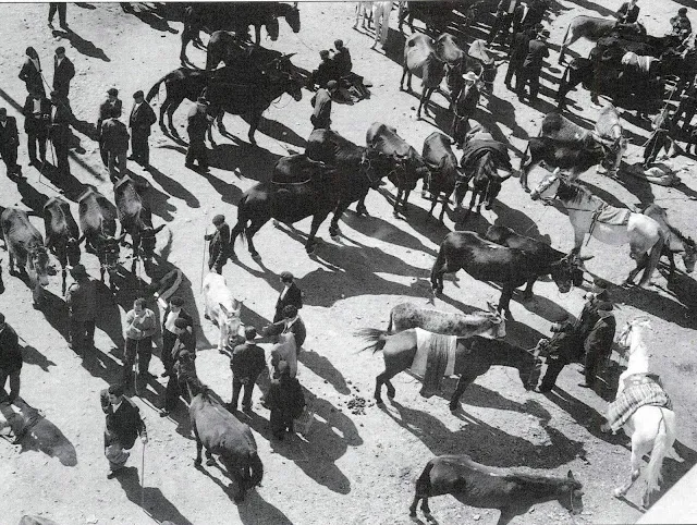 Foto 5 - El antiguo mercado de ganado en el Teso de la Feria  
