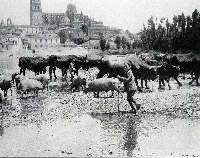 Foto 4 - El antiguo mercado de ganado en el Teso de la Feria  