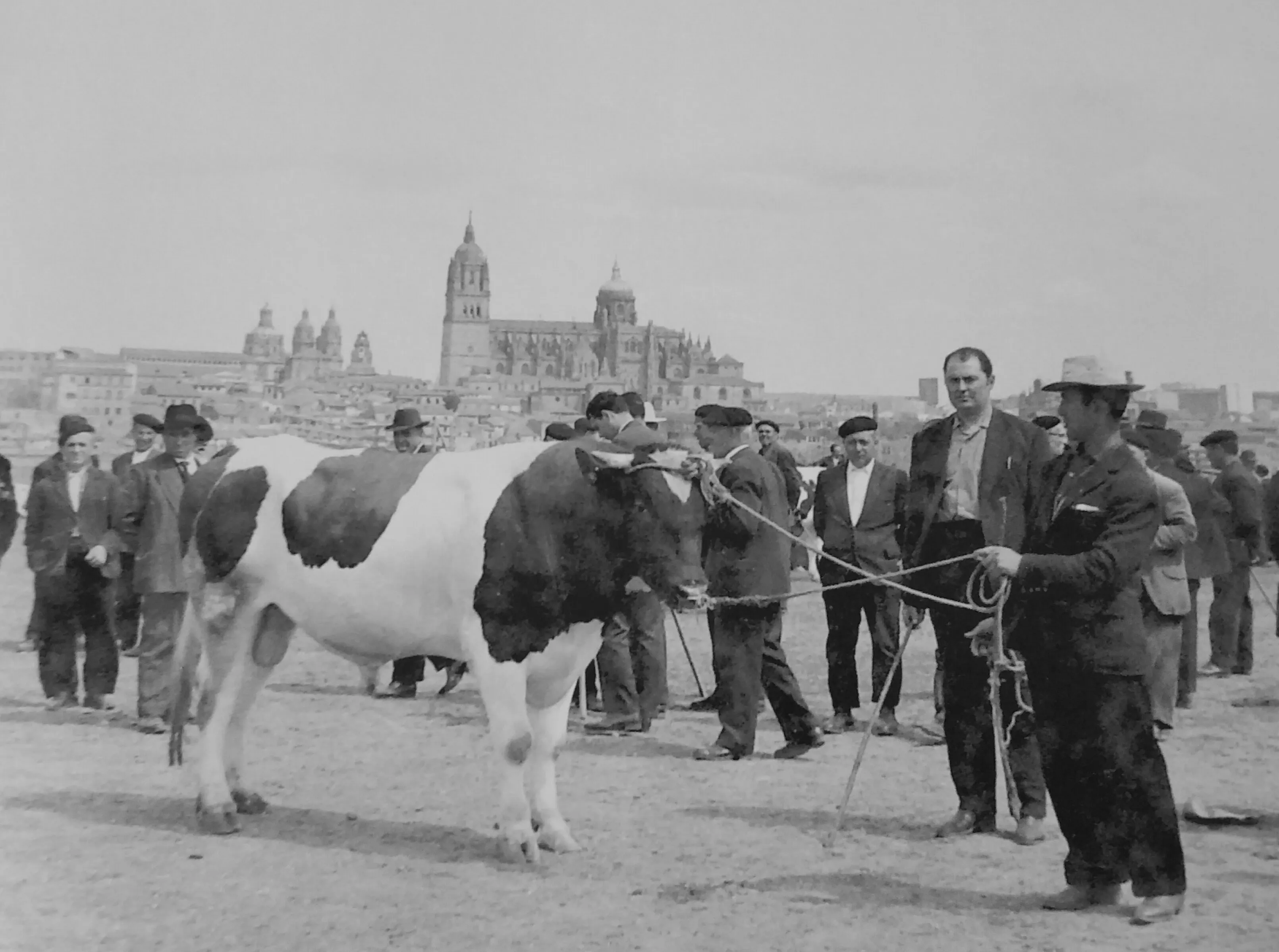 Foto 3 - El antiguo mercado de ganado en el Teso de la Feria  