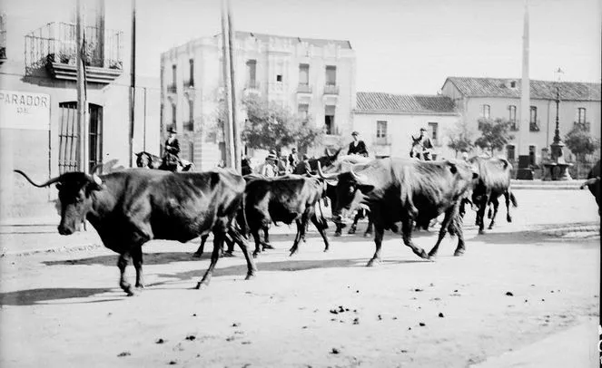 Foto 10 - El antiguo mercado de ganado en el Teso de la Feria  