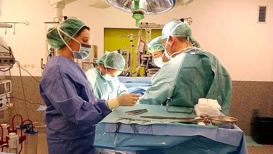 Un estudio concluye que se pueden emplear corazones de donantes mayores para jóvenes sin afectar...