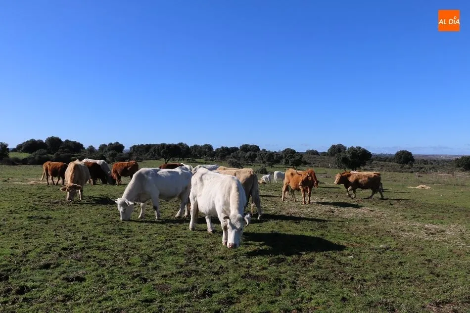 Yo luché porque las mujeres pudieran ser autónomas, hace 40 años les chocaba que quisiera ser ...