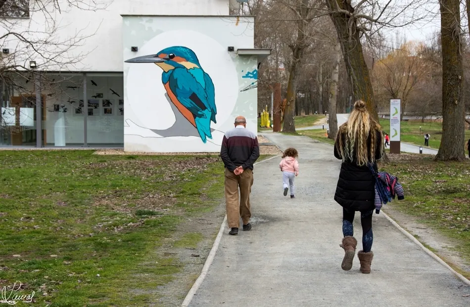 De generación en generación