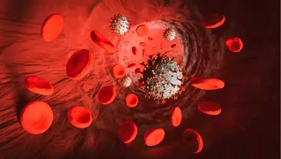 No siempre tener anticuerpos tras la Covid-19 neutraliza el virus  