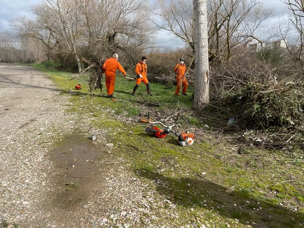 Foto 2 - Alba de Tormes acondiciona el patrimonio paisaj&iacute;stico a trav&eacute;s del proyecto ELTUR  