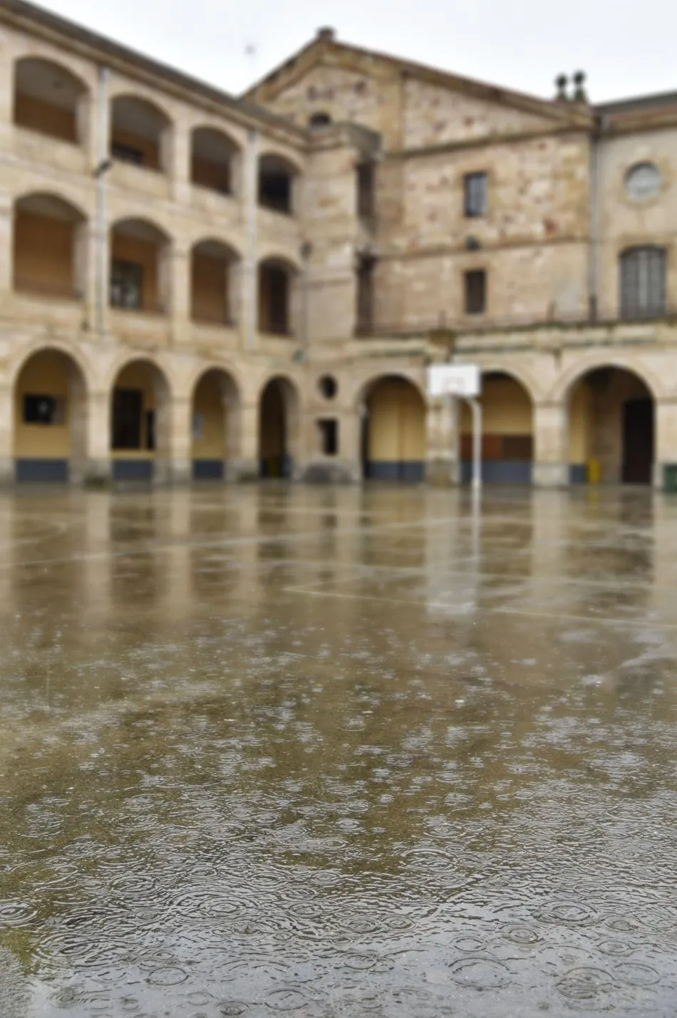 Foto 4 - Colegio Maestro &Aacute;vila, una ense&ntilde;anza inclusiva de calidad  