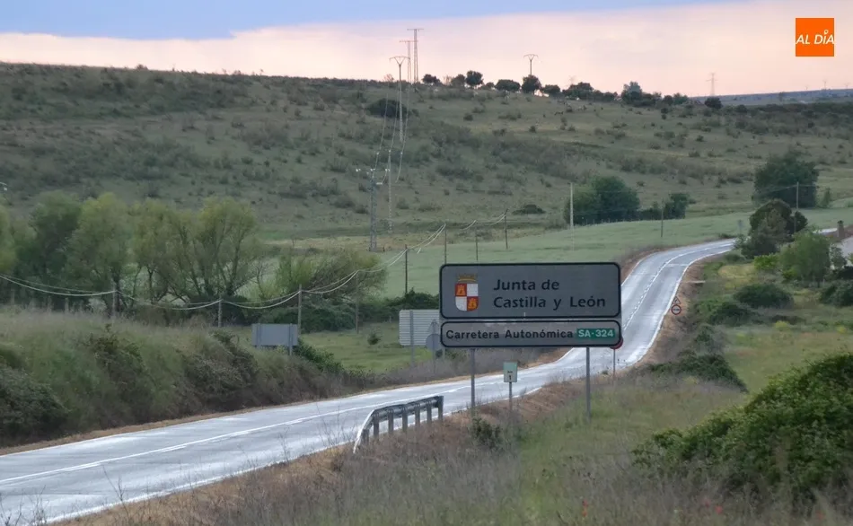 El PSOE exige la limpieza de la SA-324 tras registrarse 11 accidentes por culpa de jabalís en 2020 ...