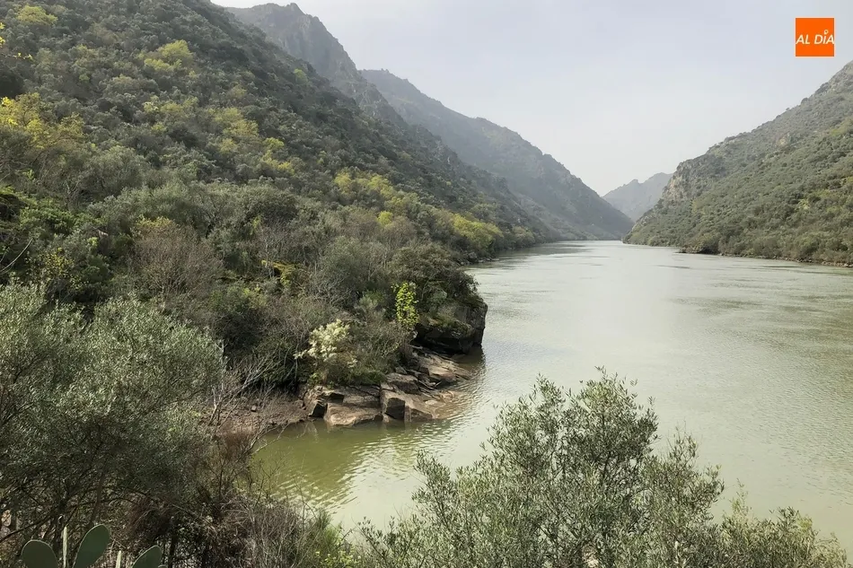 Remanso del Cachón en el Duero internacional / FOTOS: JULIO FERNÁNDEZ