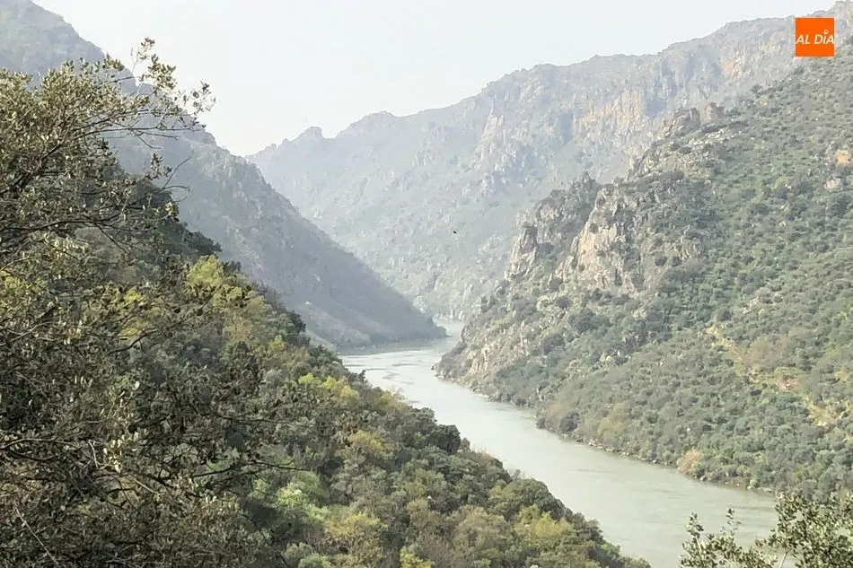 Foto 9 - El Ayuntamiento de Mieza acerca el ca&ntilde;&oacute;n del r&iacute;o Duero a los senderistas tras adecentar el...