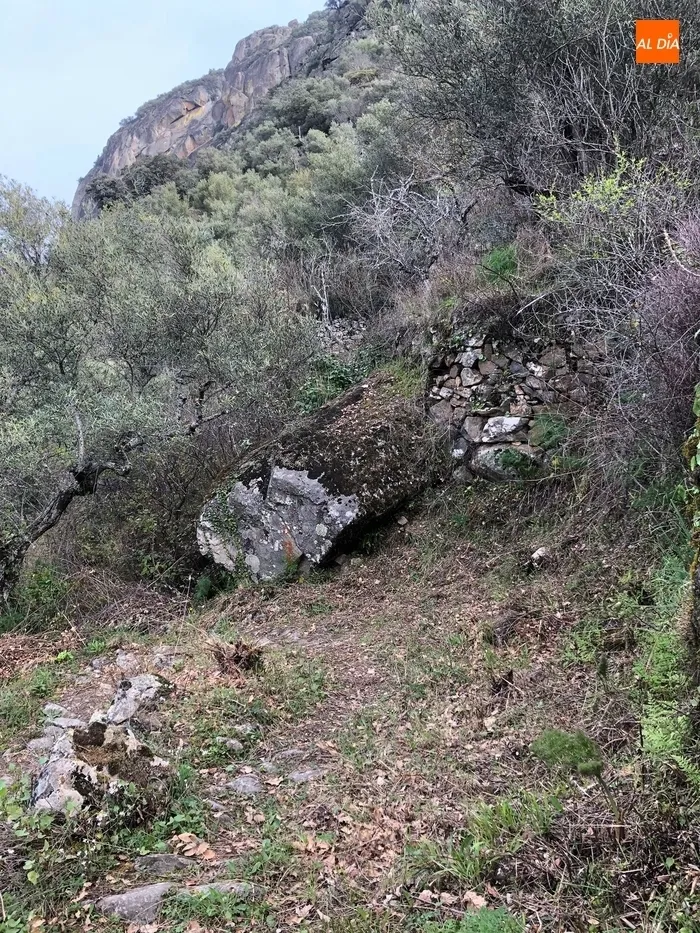 Foto 8 - El Ayuntamiento de Mieza acerca el ca&ntilde;&oacute;n del r&iacute;o Duero a los senderistas tras adecentar el...