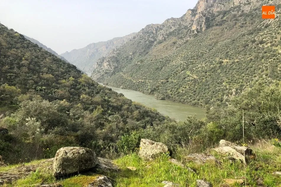 Foto 7 - El Ayuntamiento de Mieza acerca el ca&ntilde;&oacute;n del r&iacute;o Duero a los senderistas tras adecentar el...